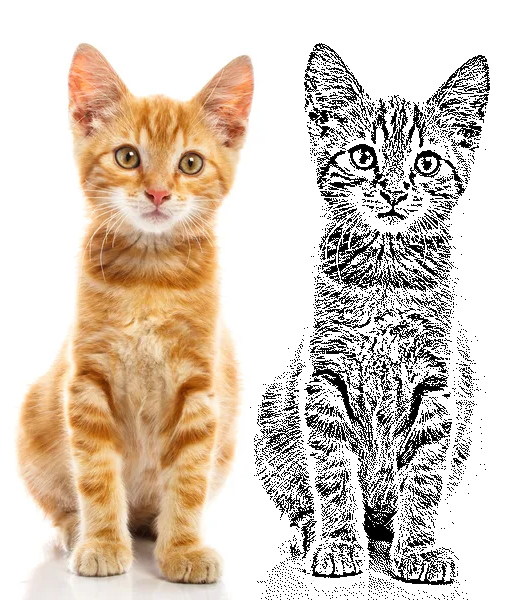 Kot konwersja do grawerowania